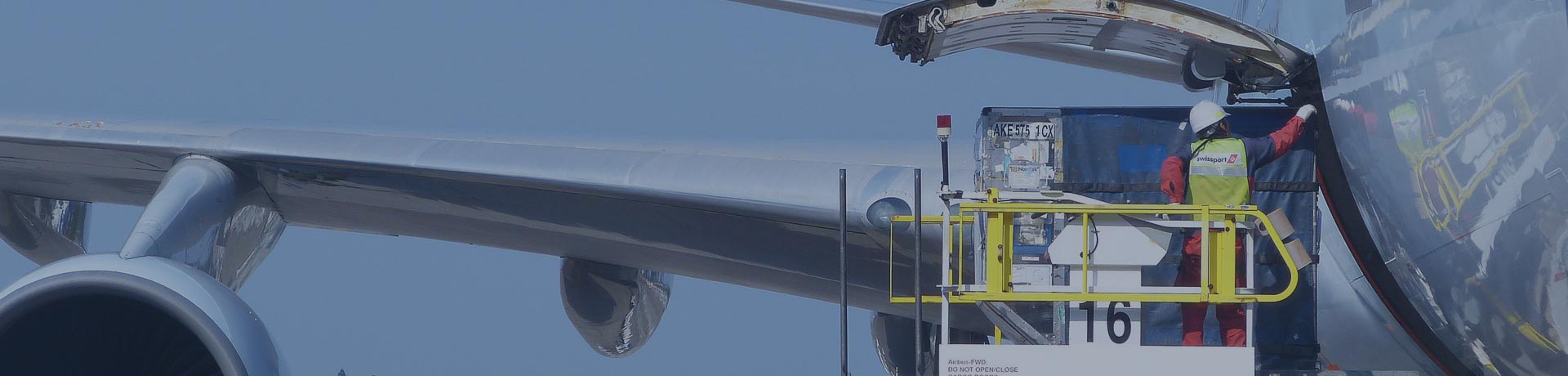 homme en train de charger un avion de fret avec des marchandises