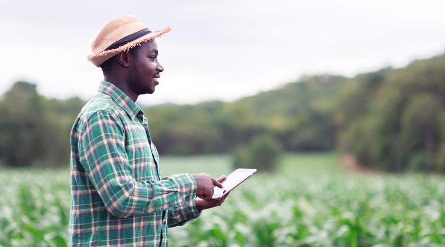 Apave inspector performing an environmental diagnosis