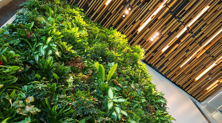 sostenibilidad en empresa