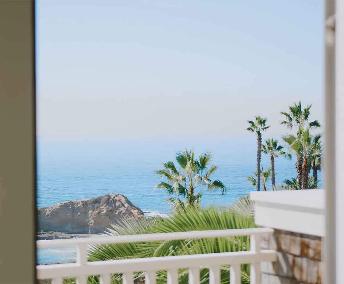 Vue sur la mer et sur les palmiers depuis une chambre d'hôtels