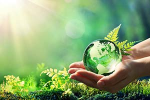 Des mains tenant la terre