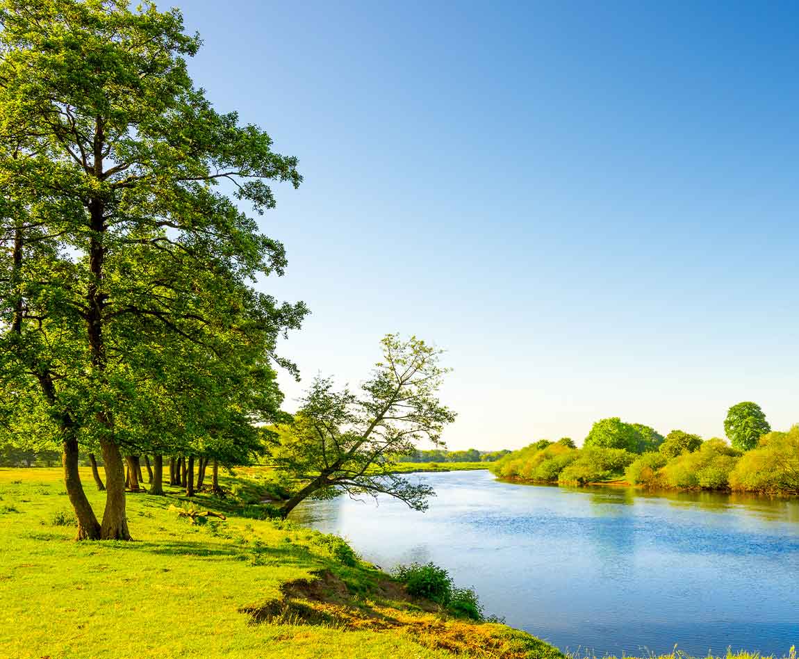 Paysage estival avec prairies et rivière