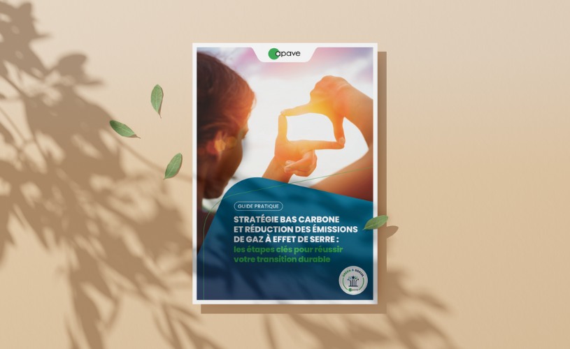 Visuel de couverture du livre blanc GES Apave