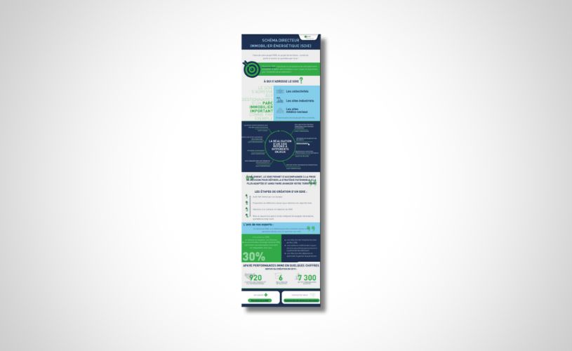 Visuel de l'infographie Apave Performances Immo sur le SDIE
