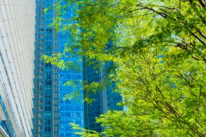 Vue de bas en haut d'un gratte-ciel moderne avec des fenêtres bleues, partiellement caché par des branches d'arbres verts.