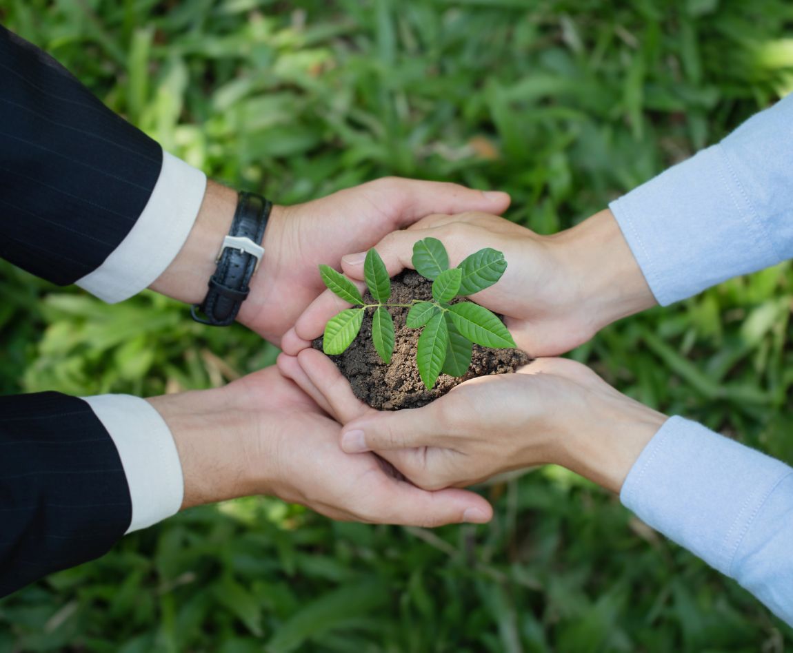 Vue en gros plan de quatre mains, dont deux en costume et deux en chemise, tenant ensemble une jeune plante avec de la terre, symbolisant la responsabilité sociale ou la Société à Mission.