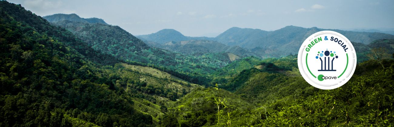 Des collines 