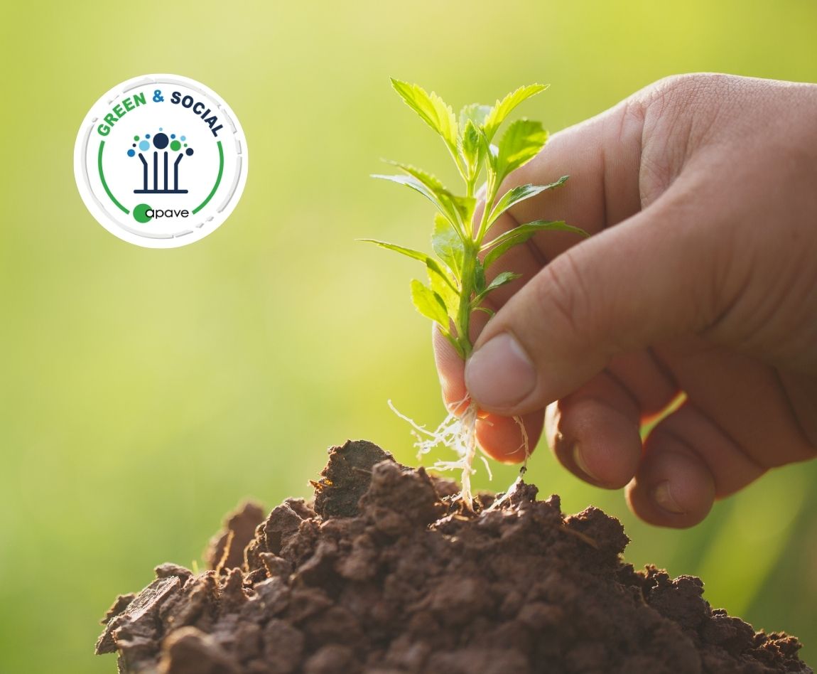 Main plantant une jeune pousse dans la terre. Logo Green & Social Apave.