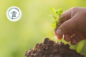Main plantant une jeune pousse dans la terre. Logo Green & Social Apave.