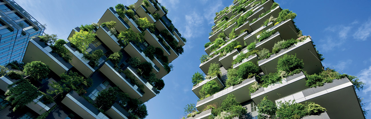 Deux bâtiments verts