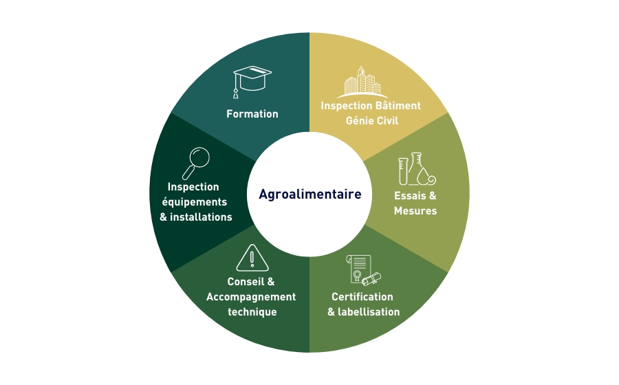 Roue présentant les différents métiers Apave pour les acteurs de l'industrie Agroalimentaire : Formation, Inspection bâtiment et Génie Civil, Essais et mesures, Certification et labellisation, Conseil et Accompagnement Technique, Inspection équipements & installations