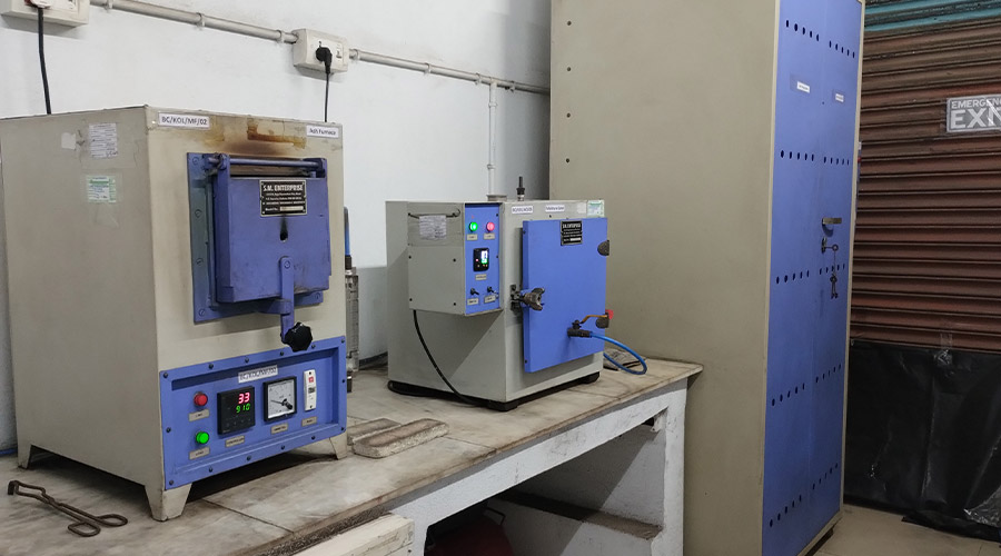 Kolkata Lab Picture