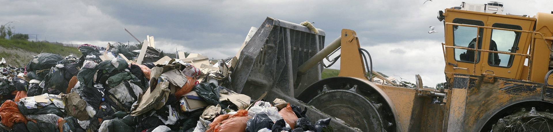 garbage heap