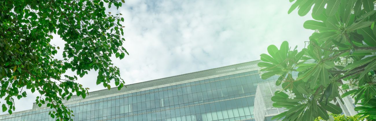 Façade en verre d'un immeuble tertiaire moderne encadrée par des feuillages vert tendre